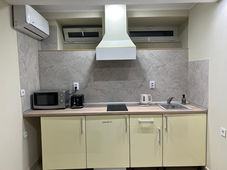 Kitchen or kitchenette, minibar, stove, air conditioner