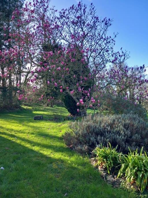 Garden, Garden