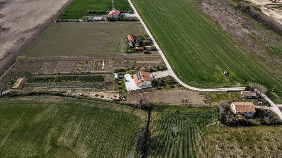 secitrovi Bed and Breakfast in Marche