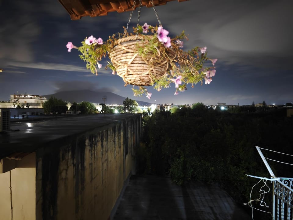 Night, View (from property/room)