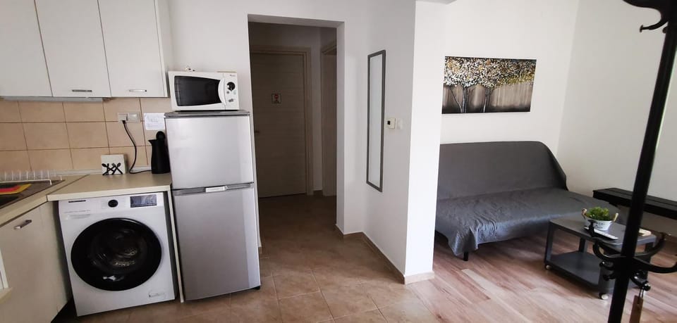Kitchen or kitchenette, Living room, Seating area, microwave, stove, washing machine, dryer