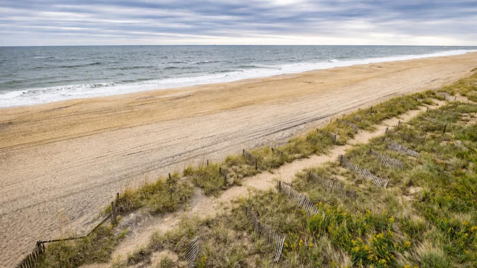 Ocean front Pompous Pelican 6 br 6 ba house House in Nags Head
