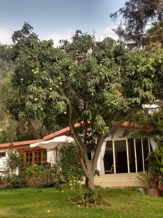 Casa Campo Isabel Quinteros Campground/ 
RV Resort in Lima Province, Peru