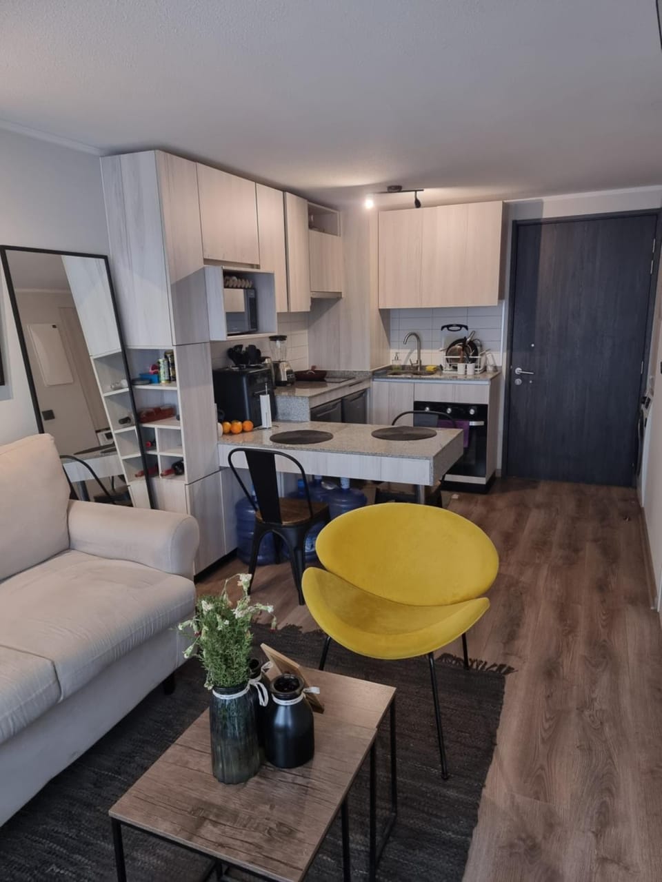 Hermoso Apartamento de 1 Dormitorio Apartment in Santiago