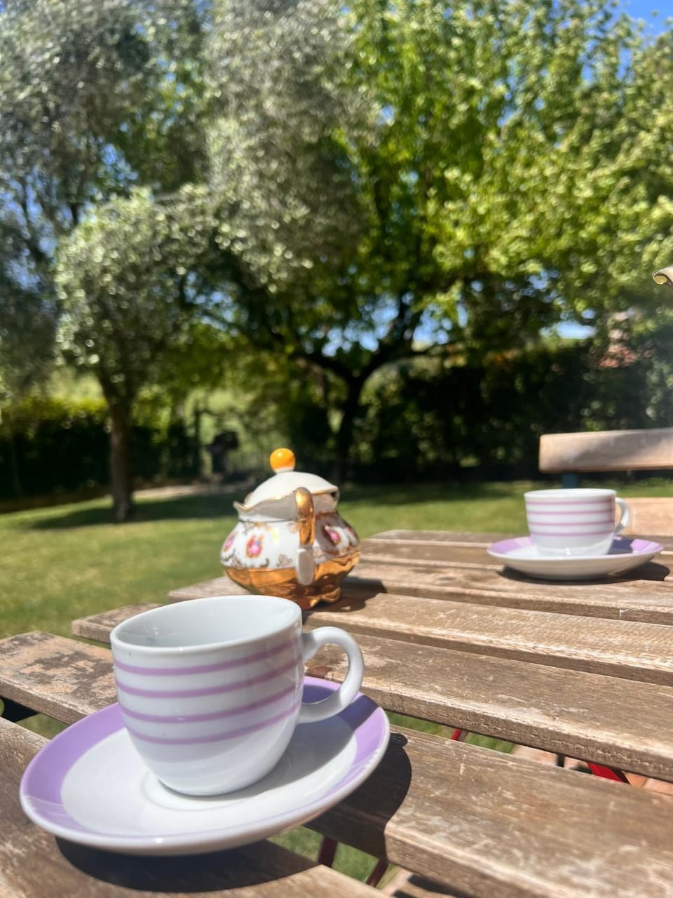 Spring, Day, Garden, Garden, Coffee/tea facilities, Garden view