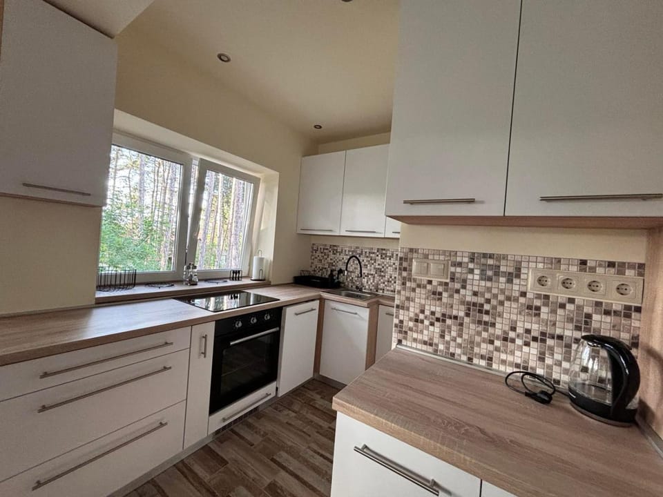 Kitchen or kitchenette, dishwasher, stove