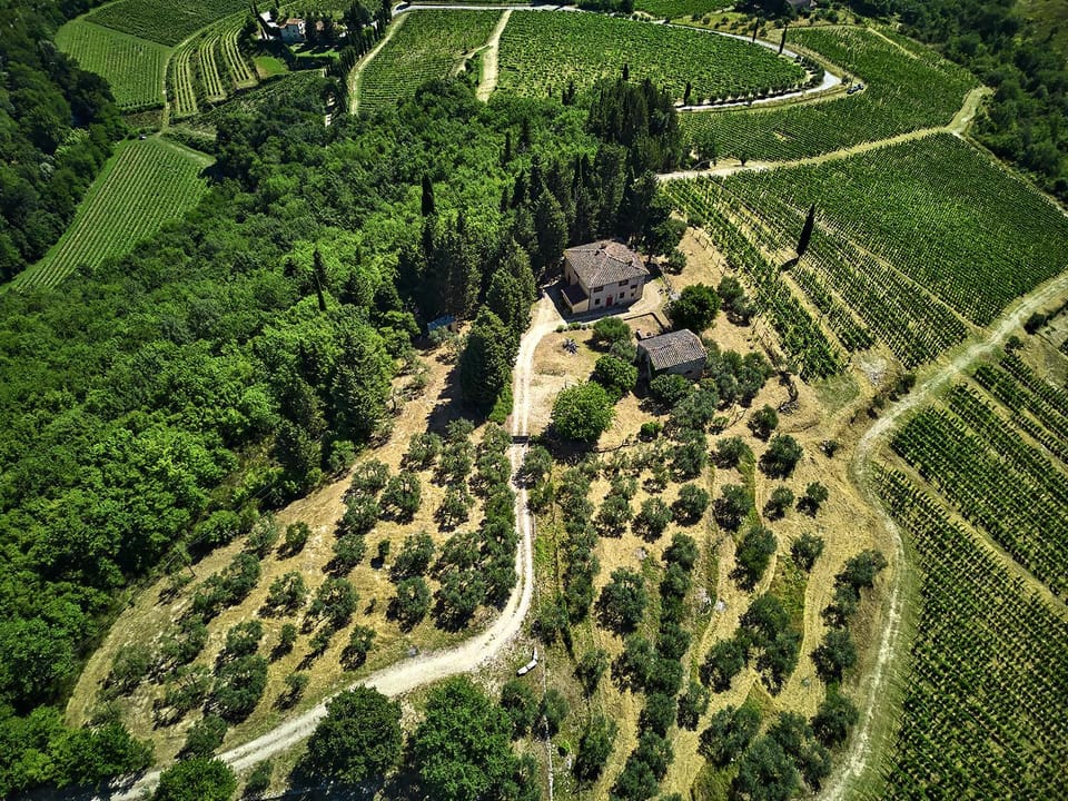 Spring, Day, Natural landscape, Bird's eye view