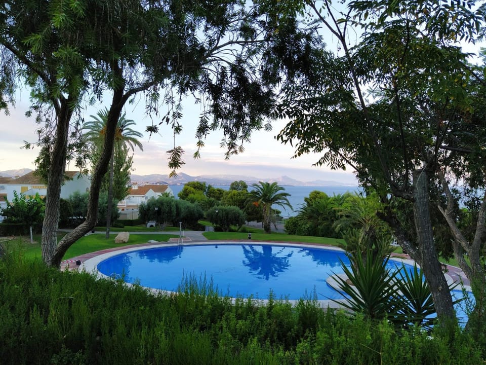 Garden, Swimming pool, Swimming pool