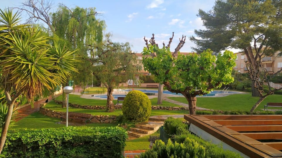 Garden view