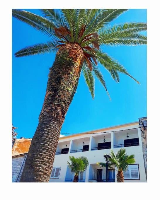 Žalo Accommodation Apartment in Dubrovnik-Neretva County