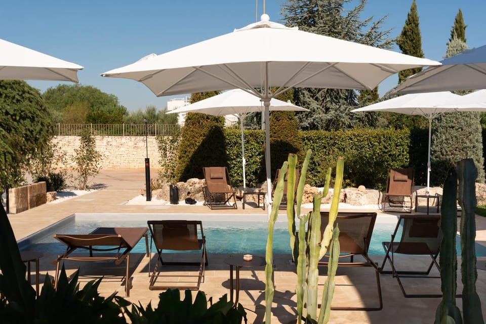 Garden, Swimming pool, Swimming pool, sunbed