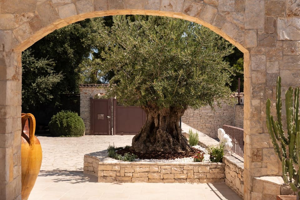 Garden, Garden view