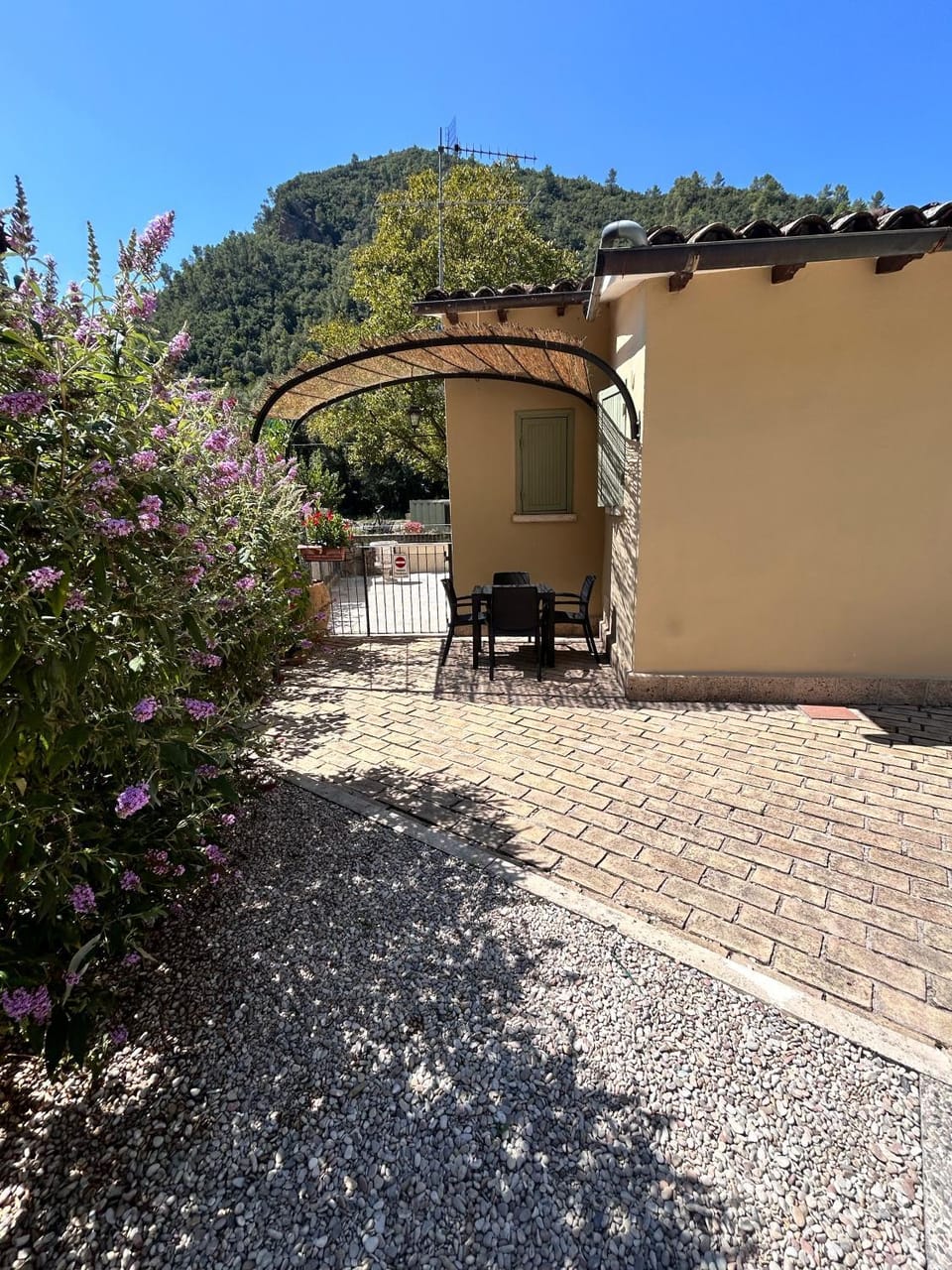 Property building, Garden, Garden view