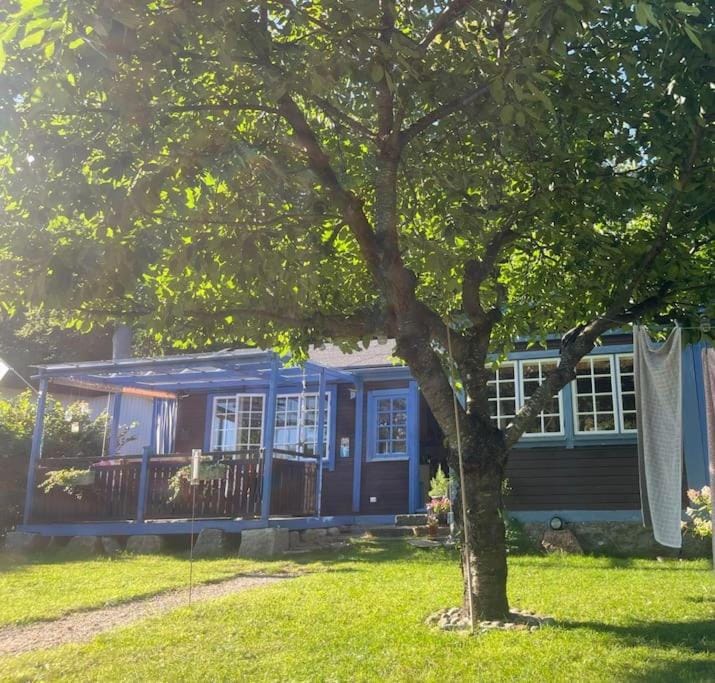 Property building, Garden view