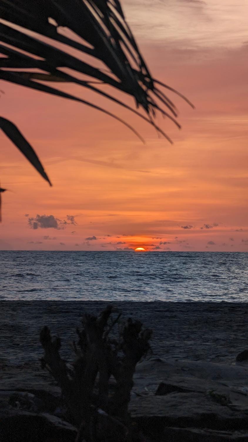 Beachillam Bed and Breakfast in Alappuzha