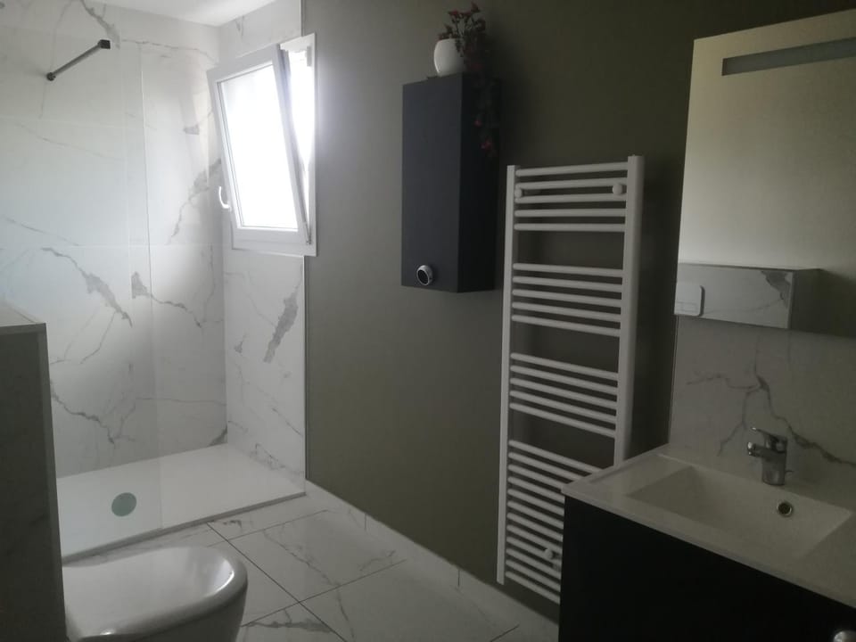 Shower, Toilet, towels