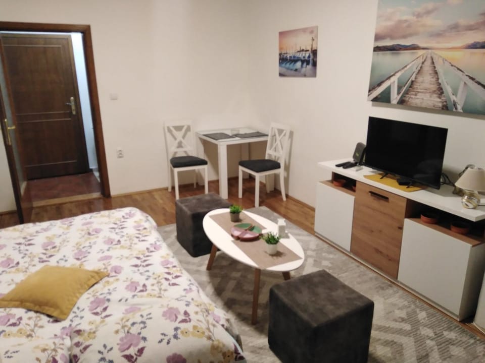 Sola1 Apartment in Novi Sad