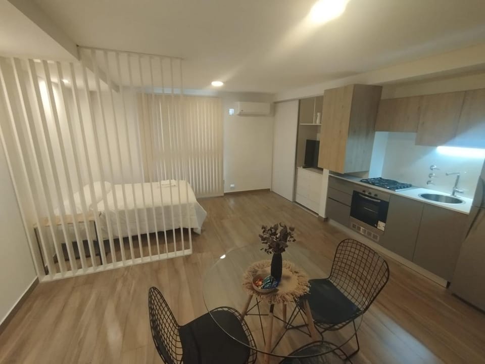 Bed, Kitchen or kitchenette, Photo of the whole room, Dining area, Bedroom, oven, stove