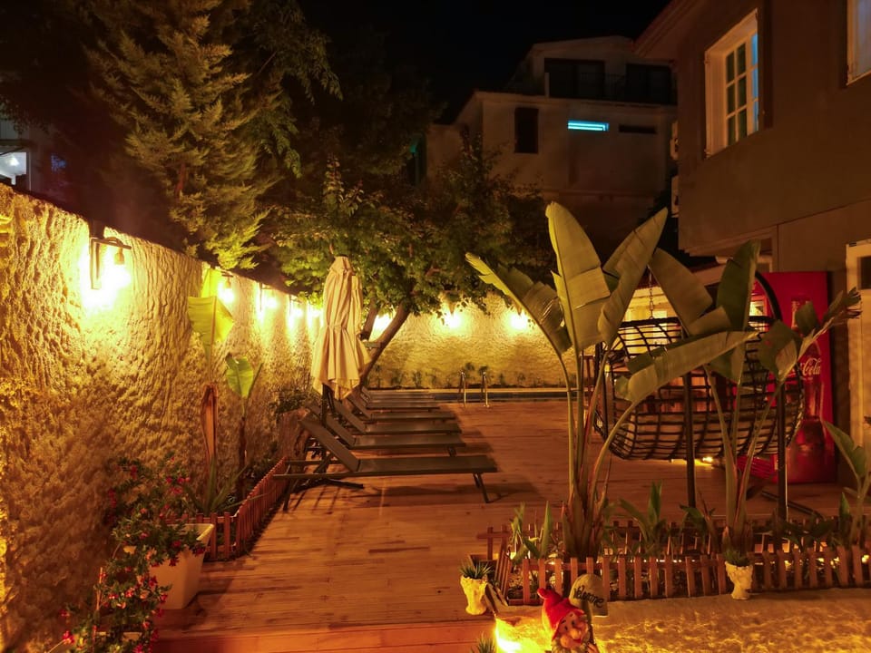 Property building, Night, Garden, Garden view