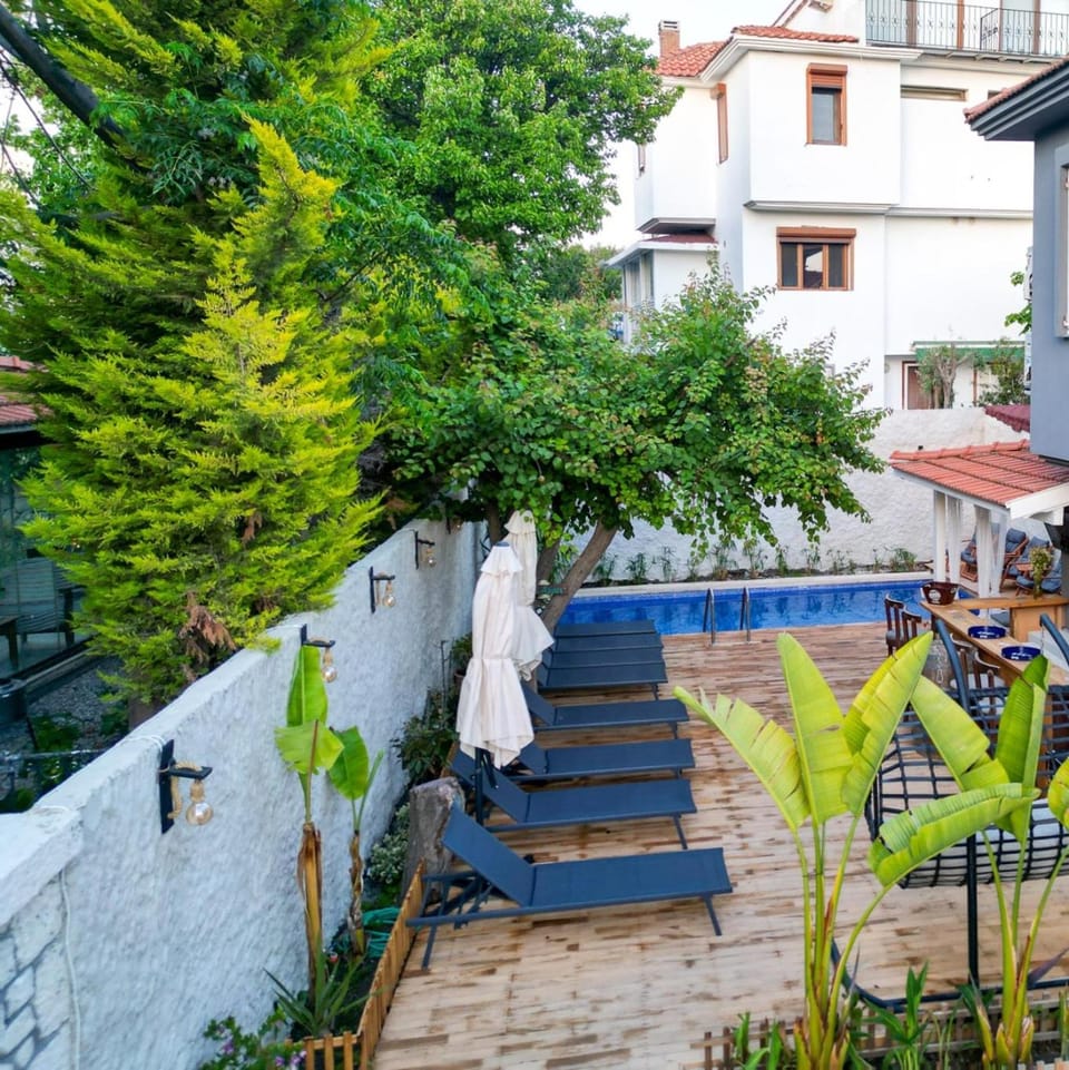 Property building, Garden, Swimming pool, sunbed