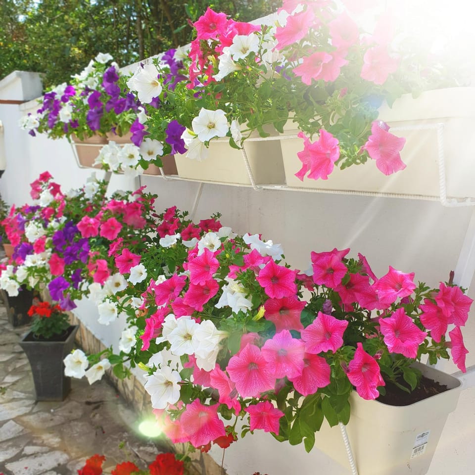 Apartment Bagaric Apartment in Stari Grad