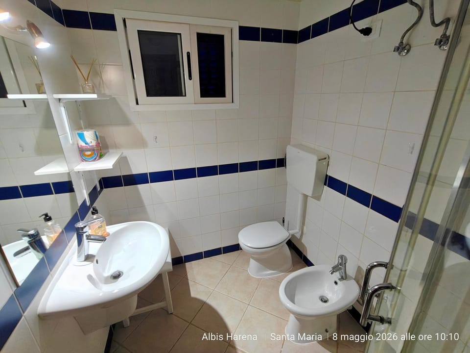 Shower, Toilet, Bathroom, bidet