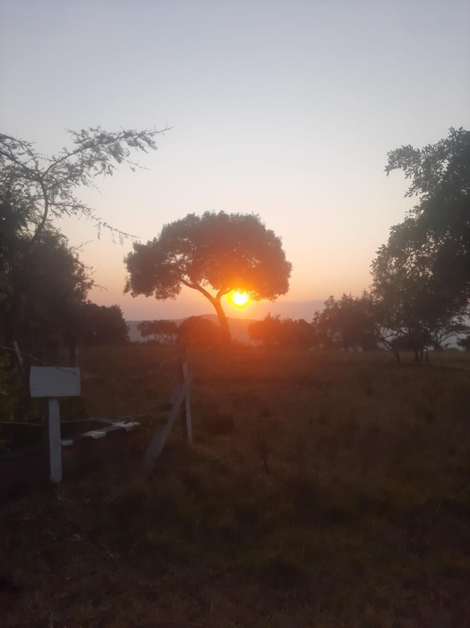 Enkereri Camp Maasai Mara Campground/ 
RV Resort in Uganda