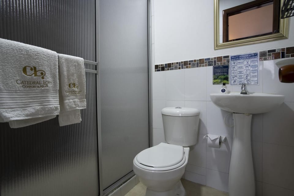 Shower, Toilet, Bathroom, towels