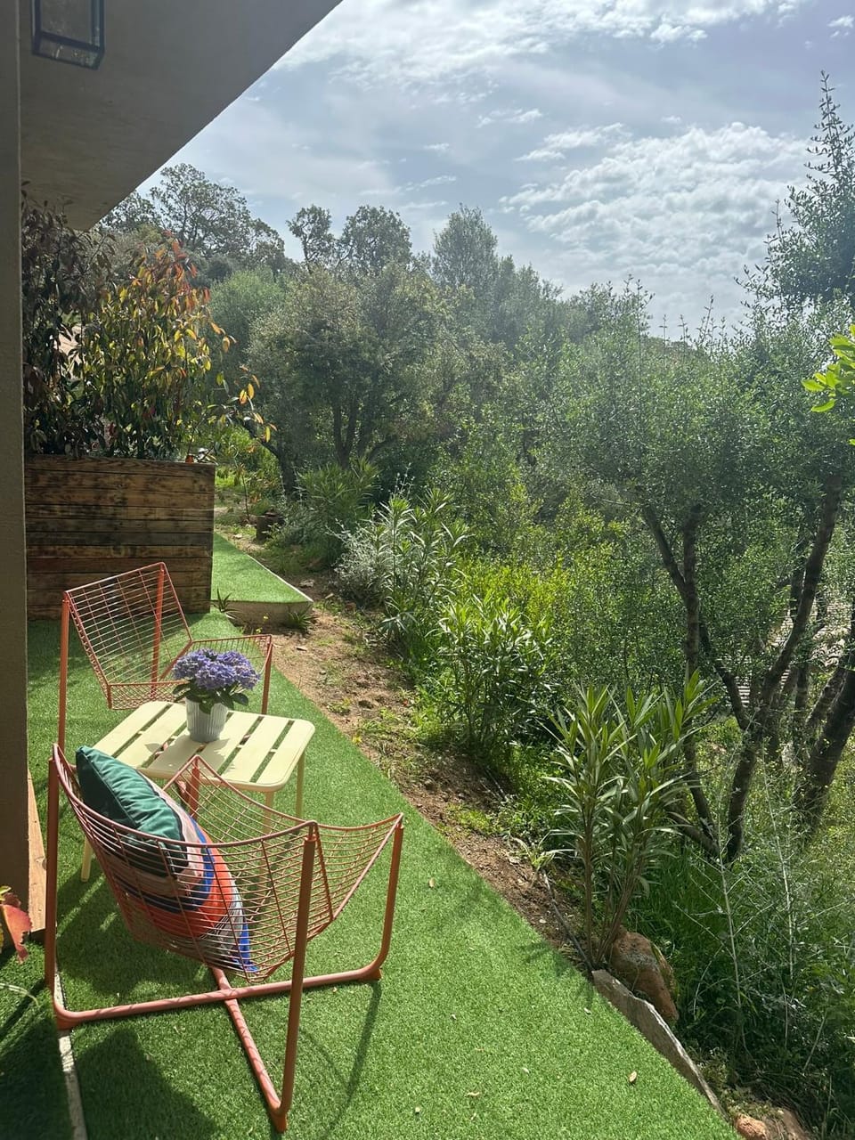 Patio, Garden, Garden view, sunbed