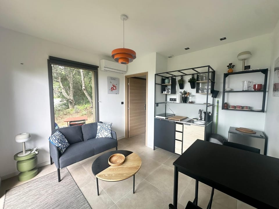 Kitchen or kitchenette, Living room, Seating area, Dining area