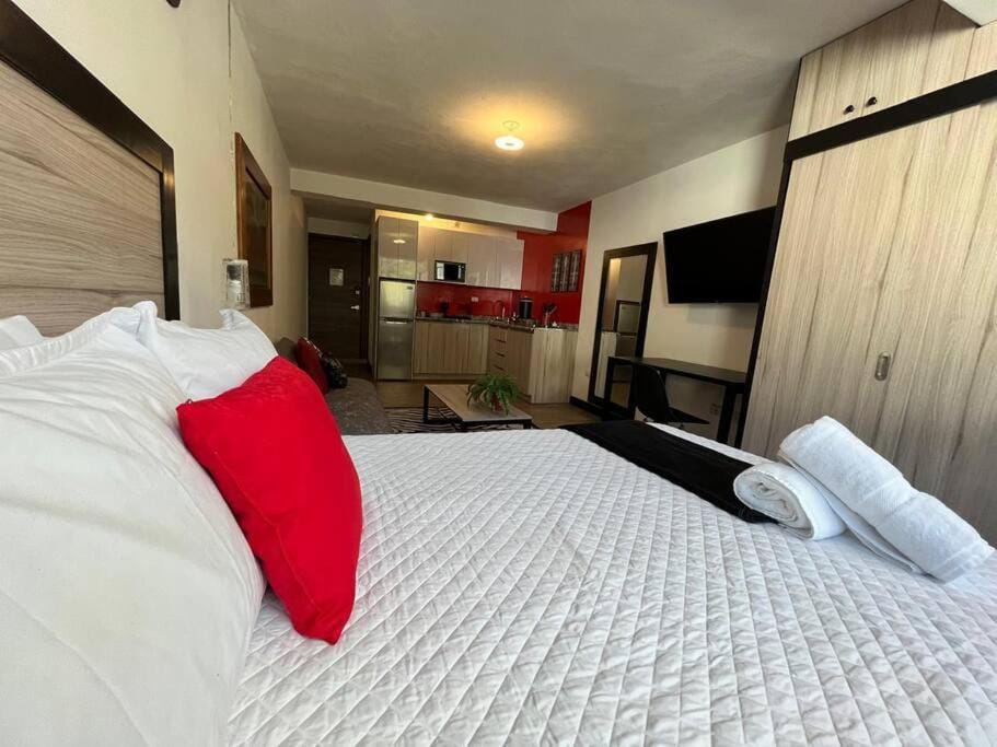 DST3 Complete studio in zone 15 Apartment in Guatemala City