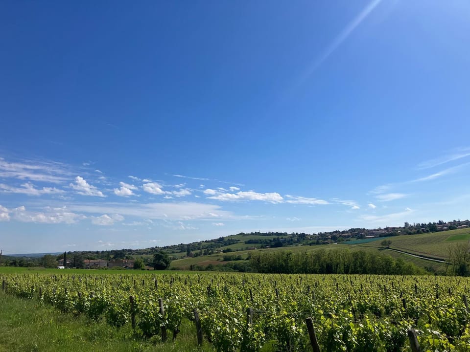 Natural landscape