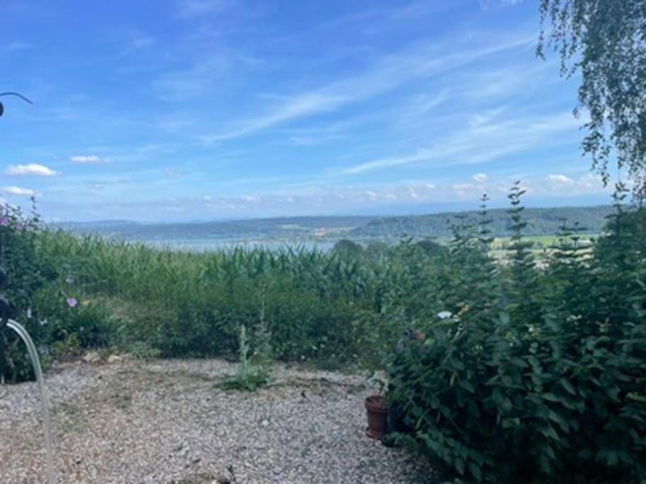 Natural landscape, Lake view