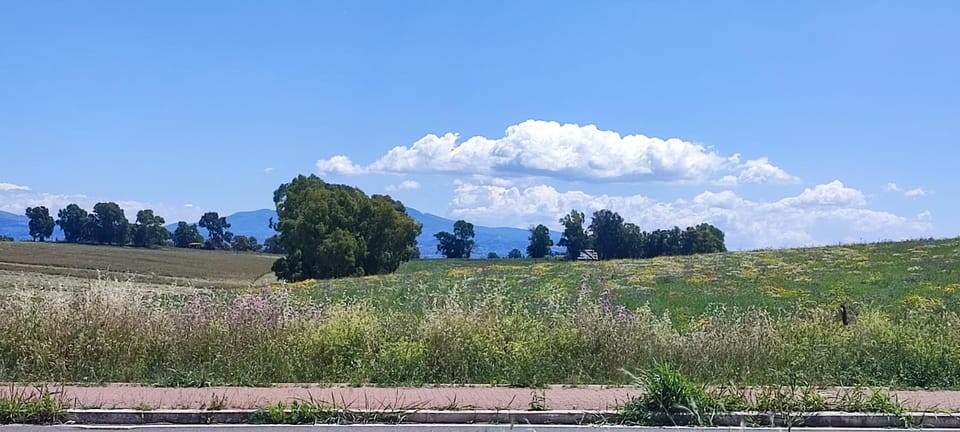 Spring, Natural landscape