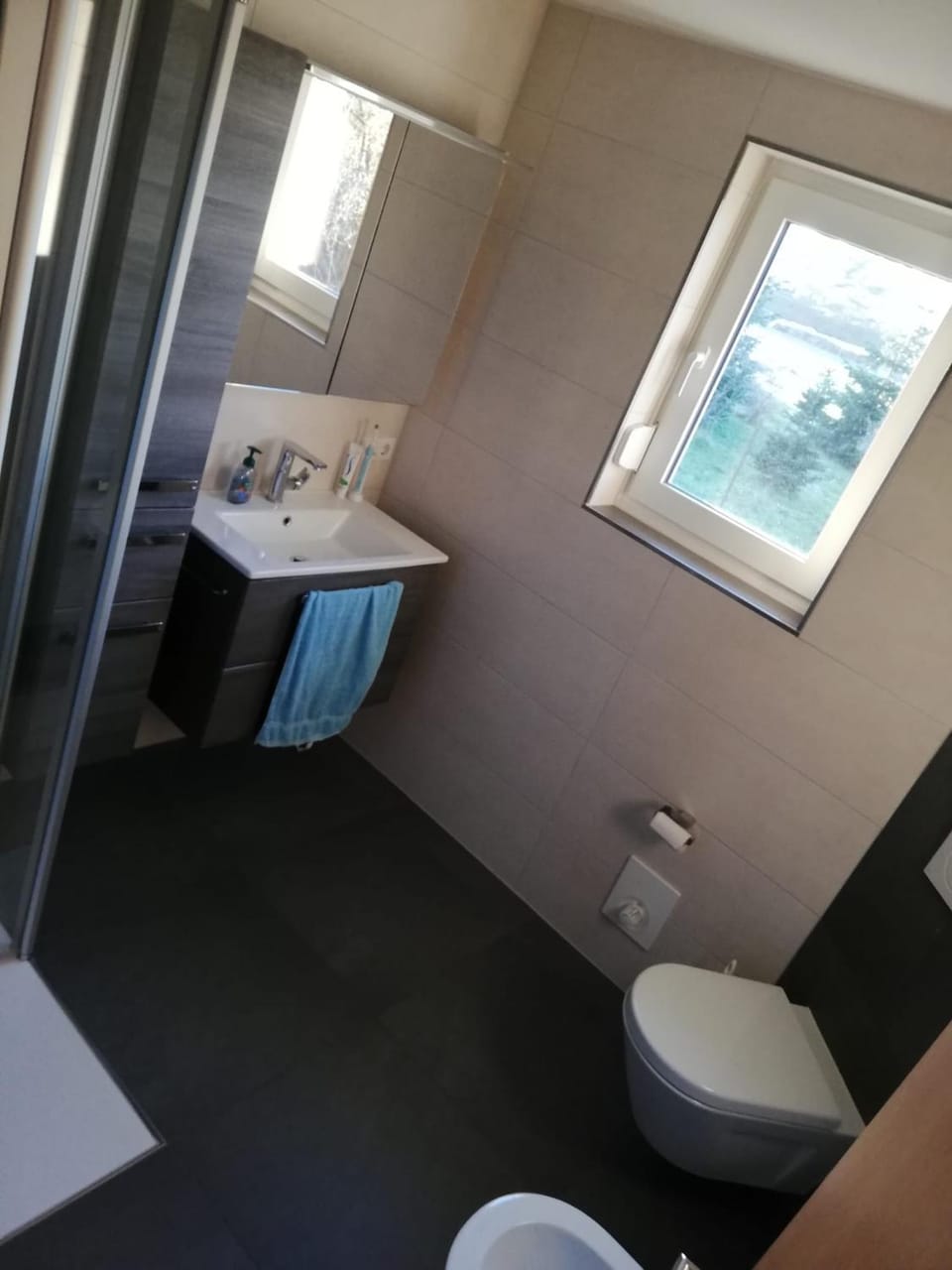 Shower, Toilet, Bathroom