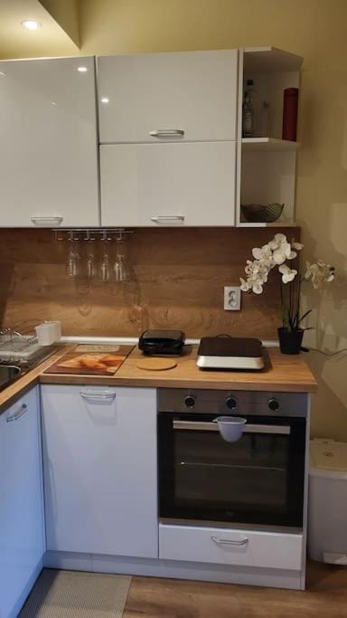 Kitchen or kitchenette, oven, stove
