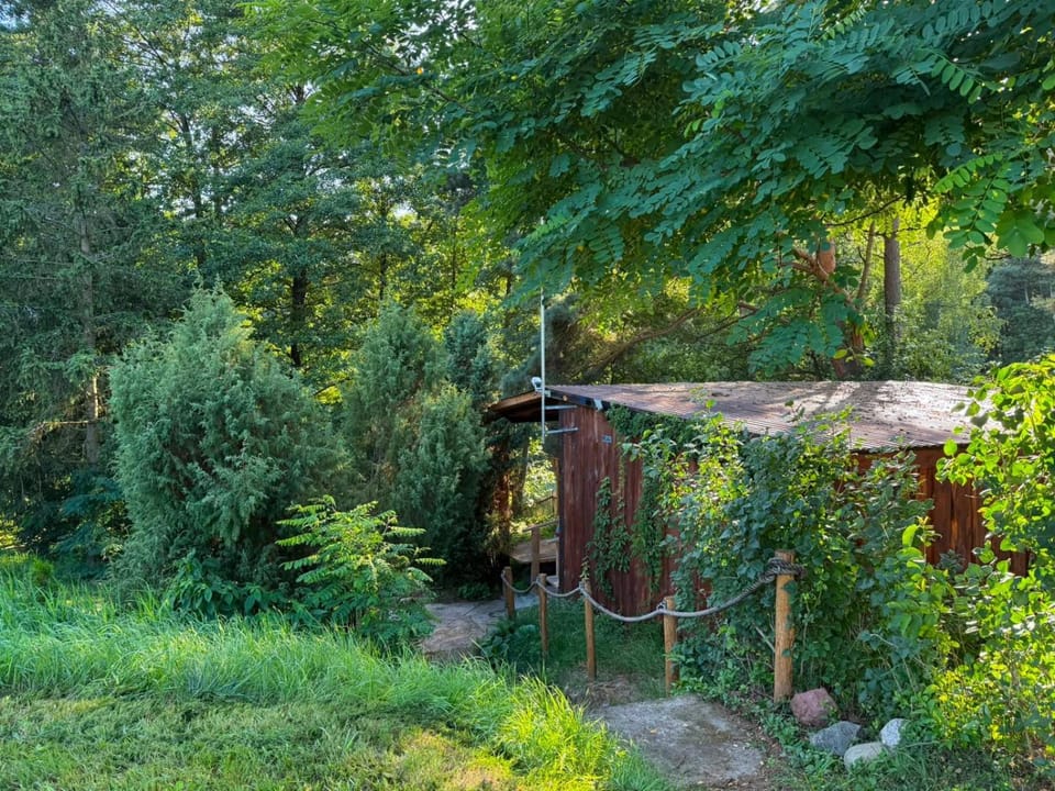 Natural landscape, Garden view