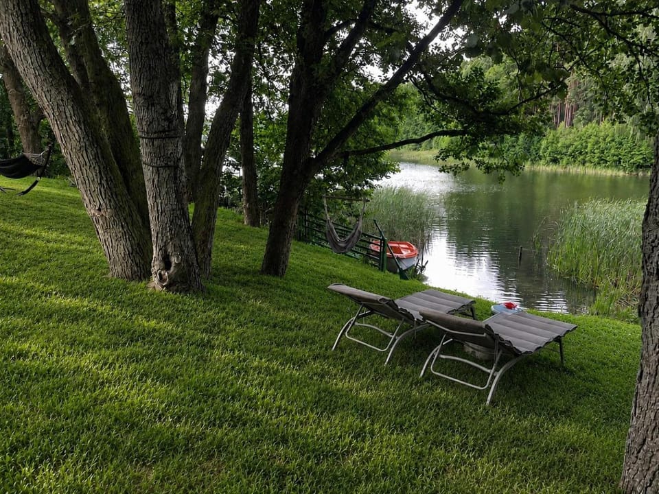 Natural landscape, Garden, Lake view