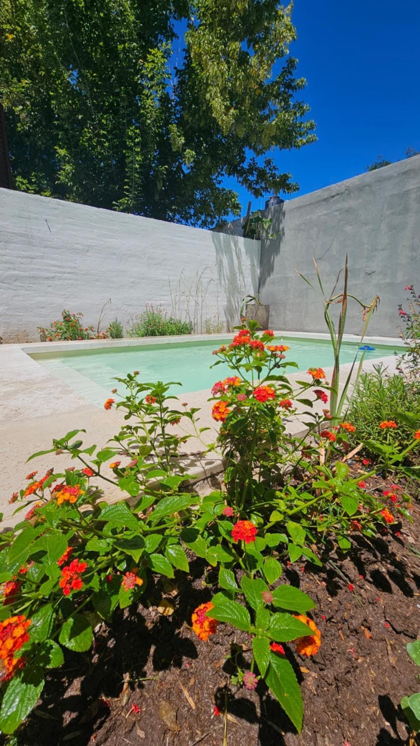 Spring, Day, Garden, Swimming pool