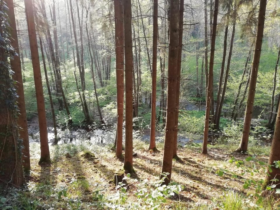 Les Céramiques du Pèlerin Campground/ 
RV Resort in Wallonia, Belgium