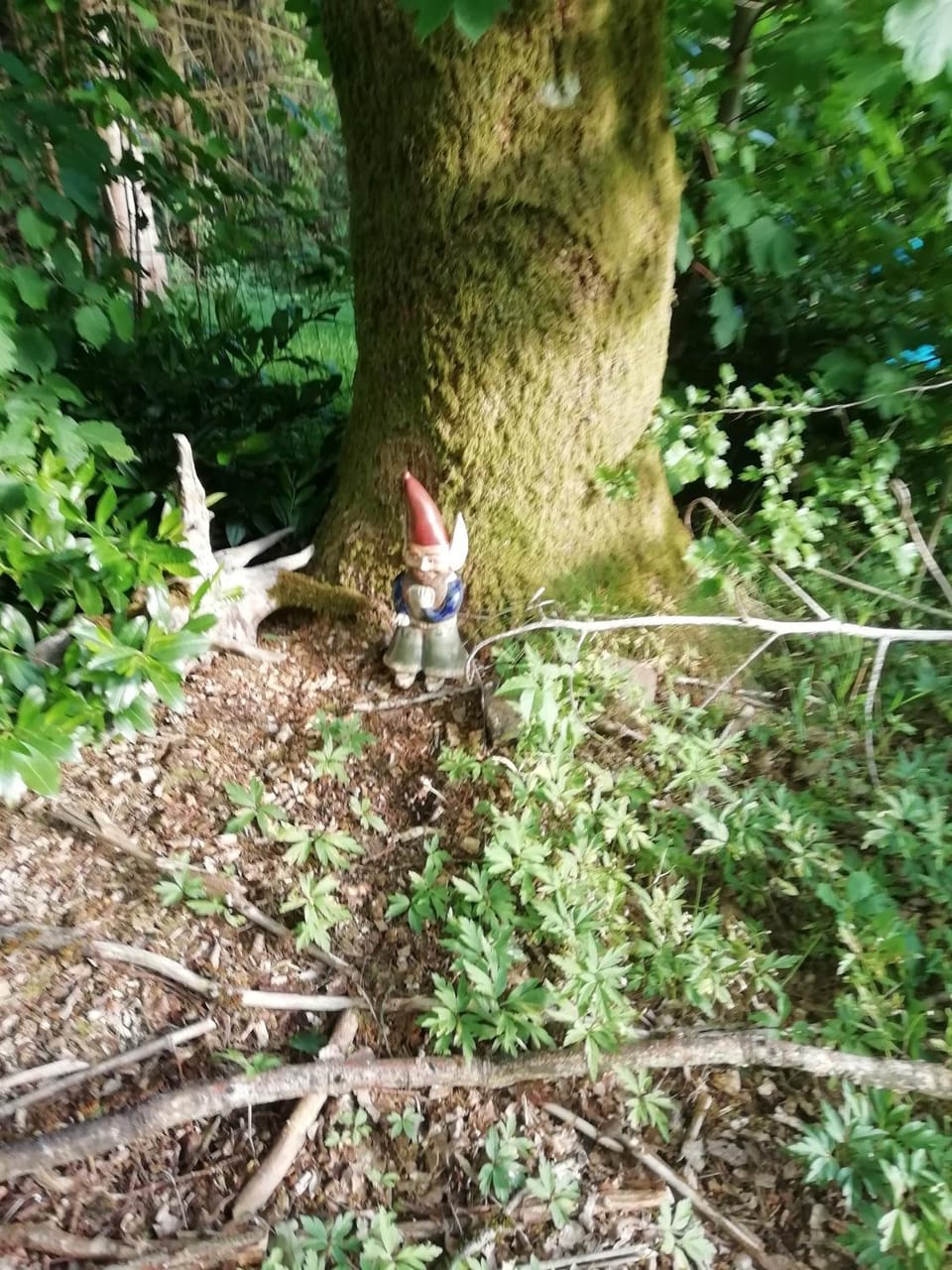 Les Céramiques du Pèlerin Campground/ 
RV Resort in Wallonia, Belgium