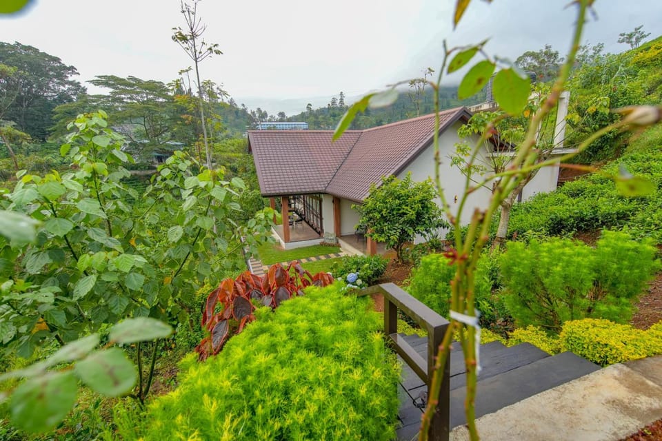 Property building, Day, Garden, Garden view