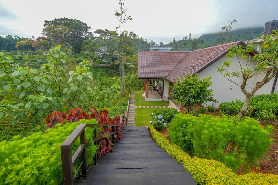 Property building, Day, Garden, Garden view