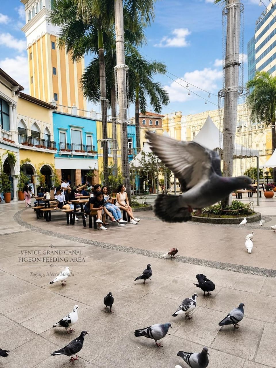1BR Luxe BGC Venice Grand Canal Staycation Apartment in Makati