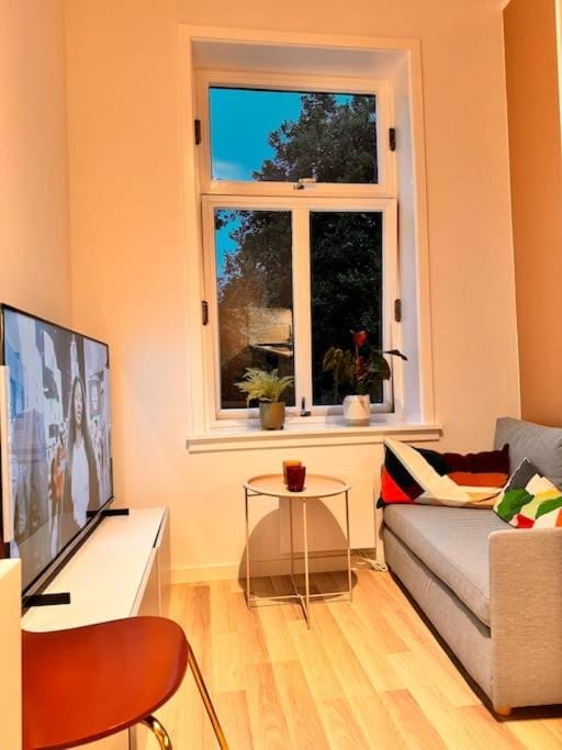 Communal lounge/ TV room, TV and multimedia
