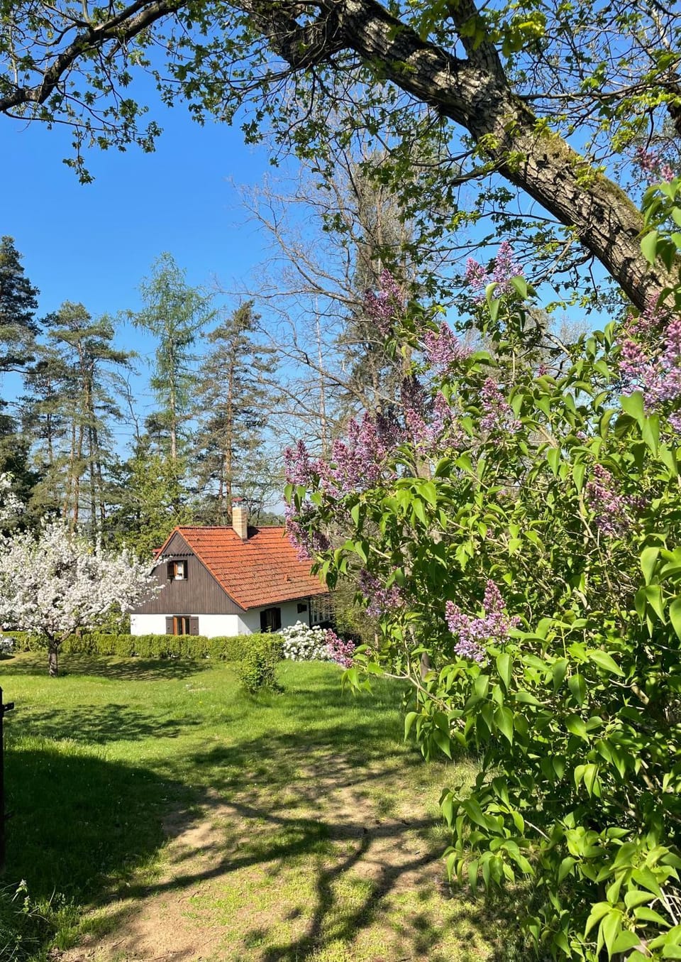 Chata nad řekou Otavou House in South Bohemian Region