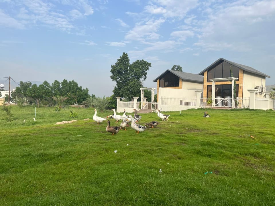 أكواخ مزرعة ريف عبس Chalet in Riyadh Province