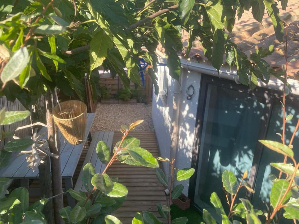 Property building, Garden, Garden view