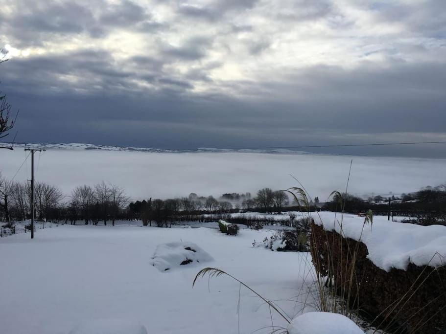 Natural landscape, Winter, View (from property/room), Garden view, Mountain view