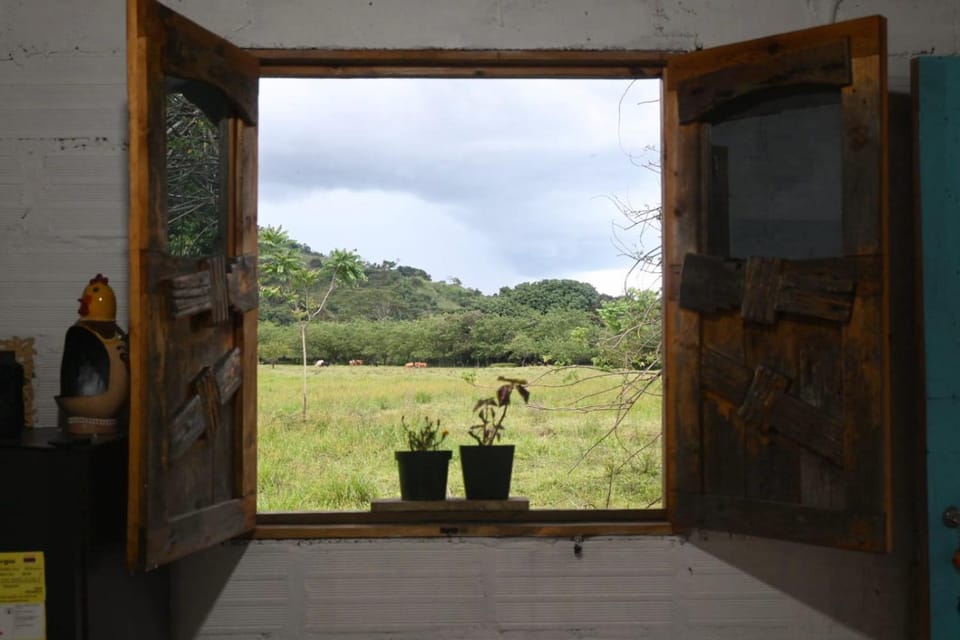 Garden view, Garden view